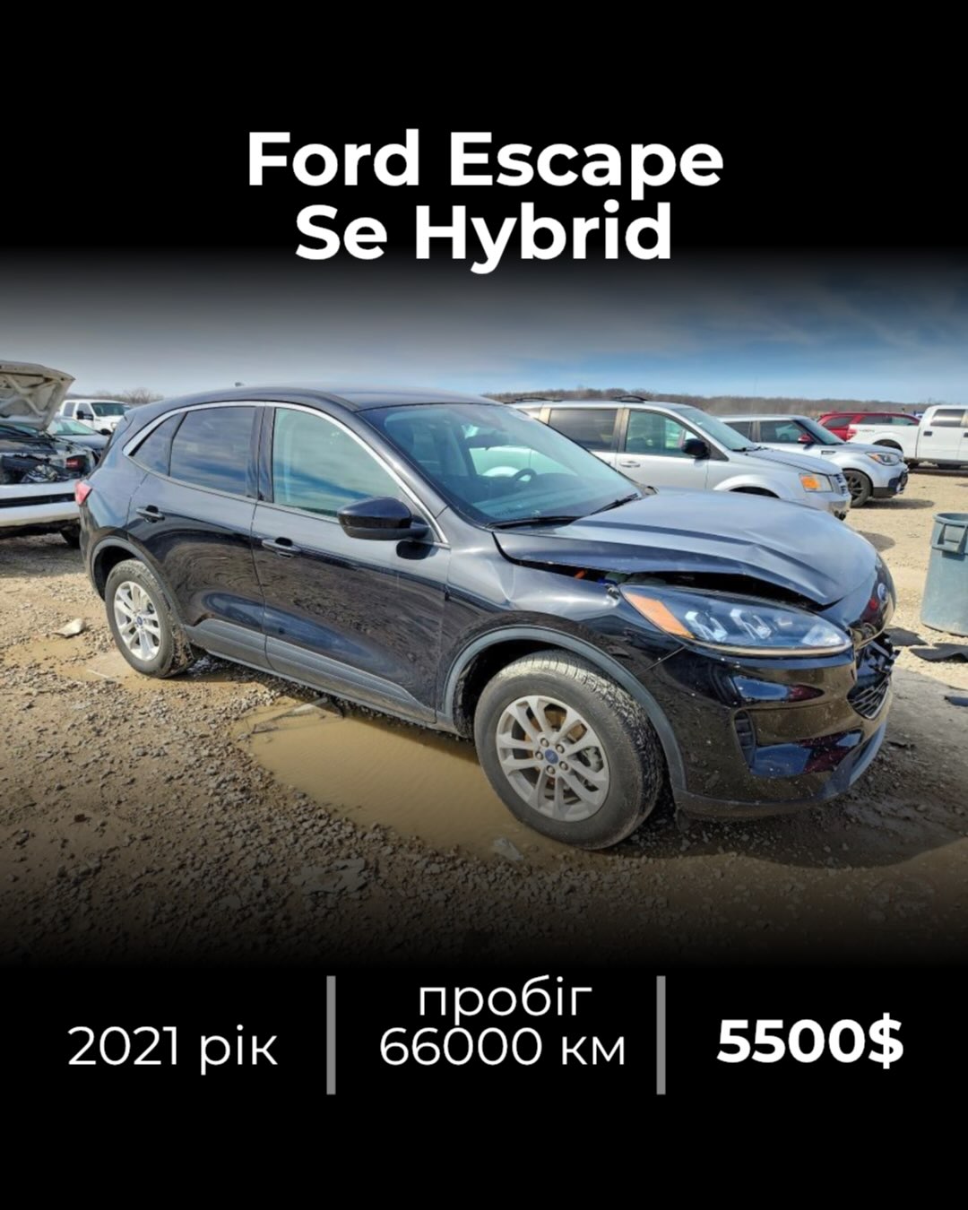 2021 Ford Escape SE Hybrid — придбано на аукціоні у США